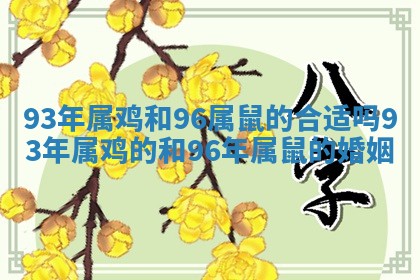 93年属鸡和96属鼠的合适吗 93 😟 年属鸡的和96年属鼠的婚姻 🏫