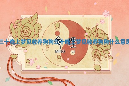 三十晚上梦见收养狗狗_三十晚上 🍂 梦见收养 🔺 狗狗什么意思
