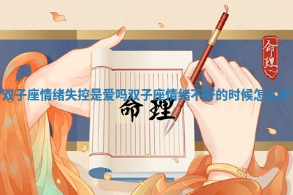 双子座情绪失控是爱吗_双 👳 子座情绪不好的时 🥝 候怎么办