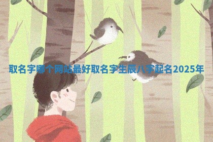 取名字哪个网 🌑 站最 🚊 好 取名字生辰八字起名2025年