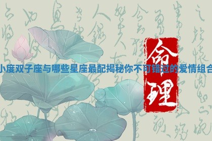 小度双子座与哪些星座最配揭 🚒 秘你不可 🍈 错过的爱情组合 小度双子座与哪些星座最配揭 🚒 秘你不可 🍈 错过的爱情组合