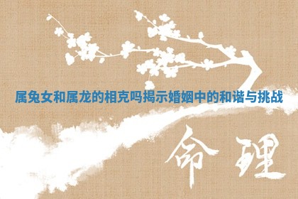 属兔女和属龙 ❎ 的相 🥦 克吗揭示婚姻中的和谐与挑战