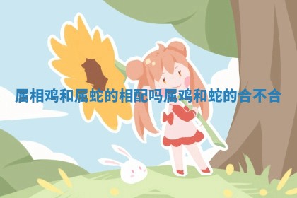 属相鸡和属蛇的相配吗 🔗 _属鸡和蛇的合不合 👜