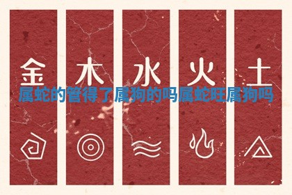 属蛇的管得了属狗的吗 💃 _属 🏙 蛇旺属狗吗
