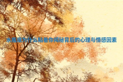 📗 水瓶座为什么粘着你揭秘 🎤 背后的心理与情感因素 📗 水瓶座为什么粘着你揭秘 🎤 背后的心理与情感因素