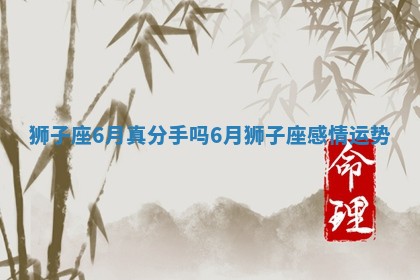 狮子座6月 🍊 真分手吗_6月狮子座感情运势 🔝